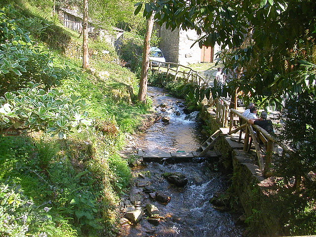 DSCN6751 DSCN6751