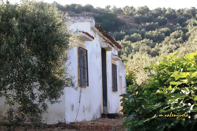 02, cortijo de Jarillo, marca