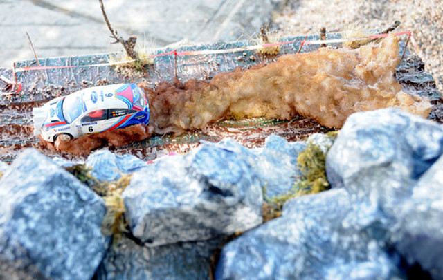 DSC_1351 DSC_1351
