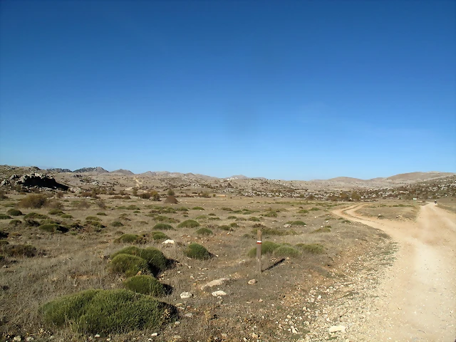 A60 A60