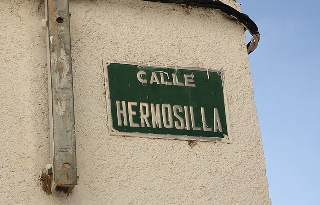 APELLIDO HERMOSILLA 15