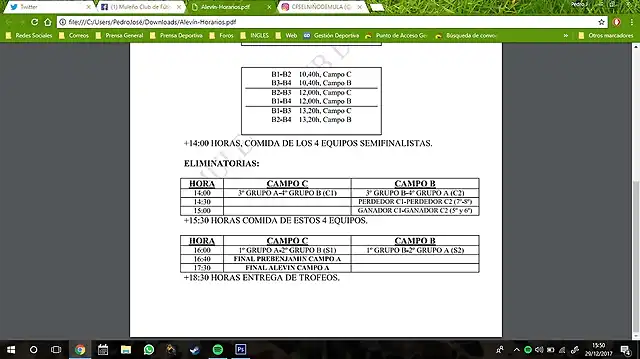 AlevinTFMesones2017-1