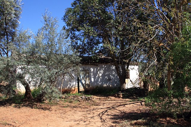 cortijo de caballo