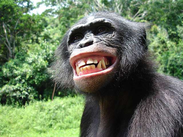 sonrisa sonrisa