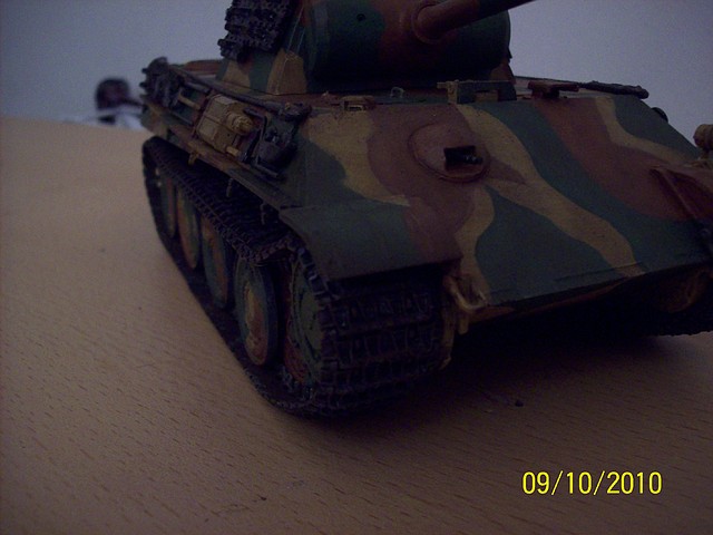 Panther G 08-08 017