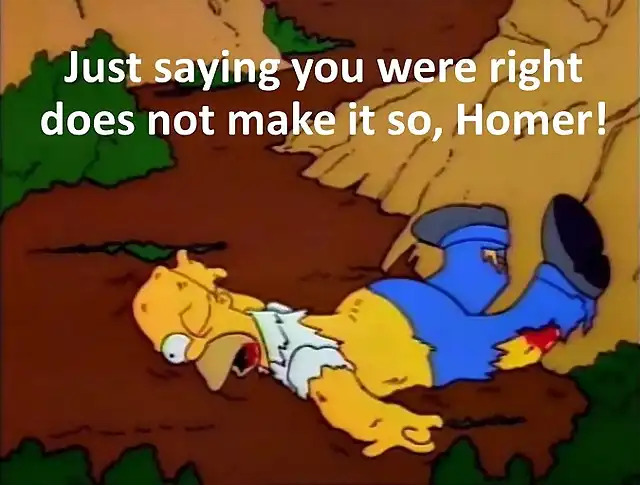 Homer Injuries