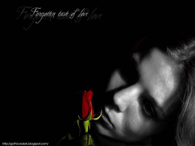 forgotten_taste_of_love