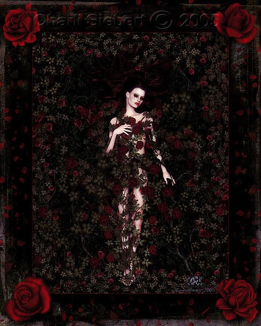 images_roses_gvd (3)
