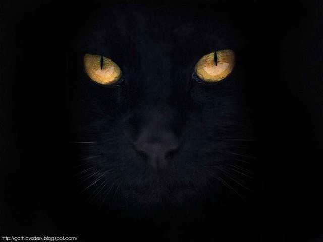 gatos_negros_gothicvsdark.blogspot.com_ (4)