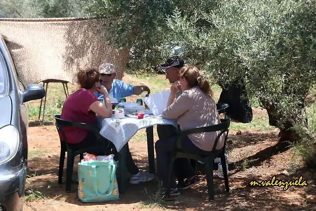 28, la comida bajo una oliva, marca