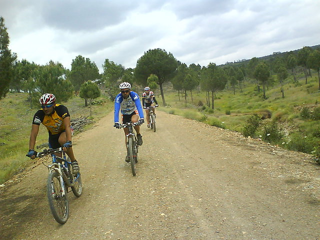 via verde via verde