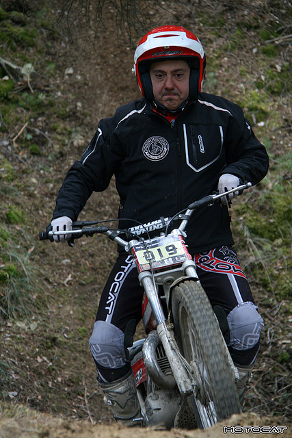 IMG_8996 IMG_8996