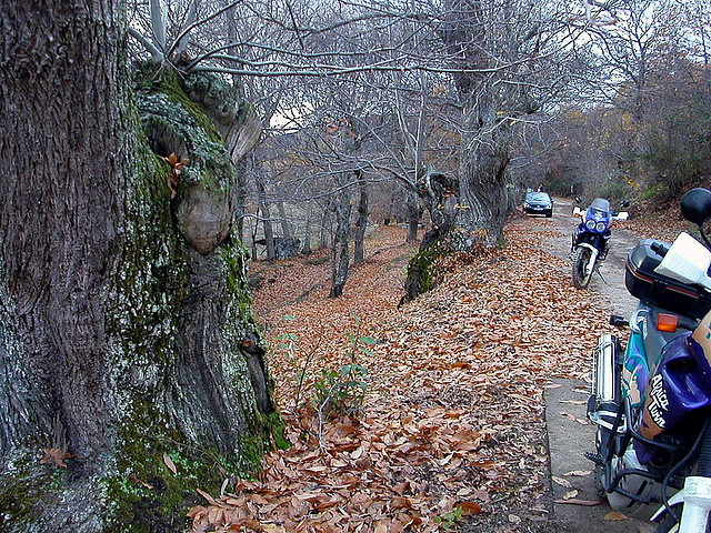 DSCN9678 DSCN9678