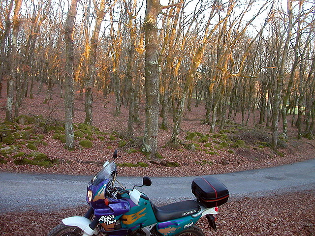 DSCN5828 DSCN5828