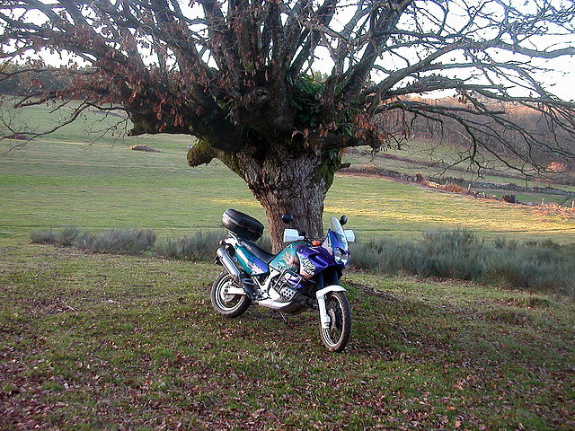 DSCN5822 DSCN5822