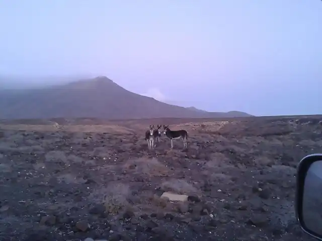 Fuerteventura 2013 (63)