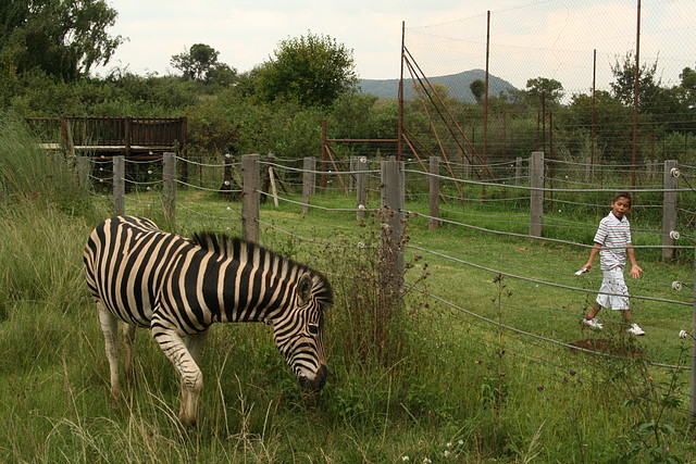 Rhino & Lion Nature Reserve 22-02-09 1080 Rhino & Lion Nature Reserve 22-02-09 1080