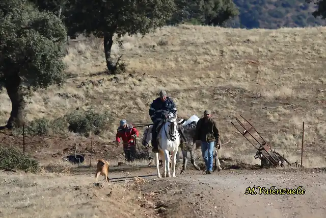 14a, llegan los pastores, marca