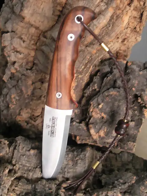 SANY3746