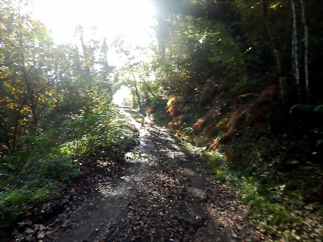 DSCN4448 DSCN4448