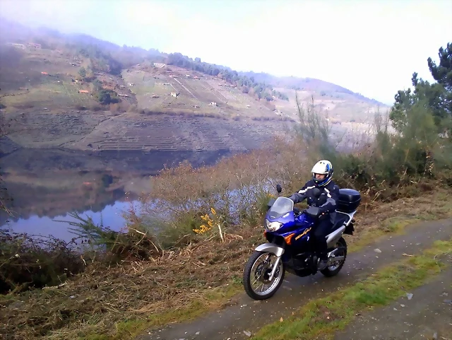IMG-20170107-WA0014 IMG-20170107-WA0014