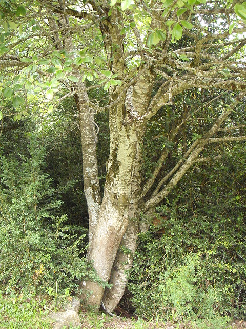 DSCF2286 DSCF2286