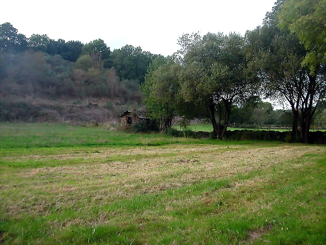 DSCN5277 DSCN5277