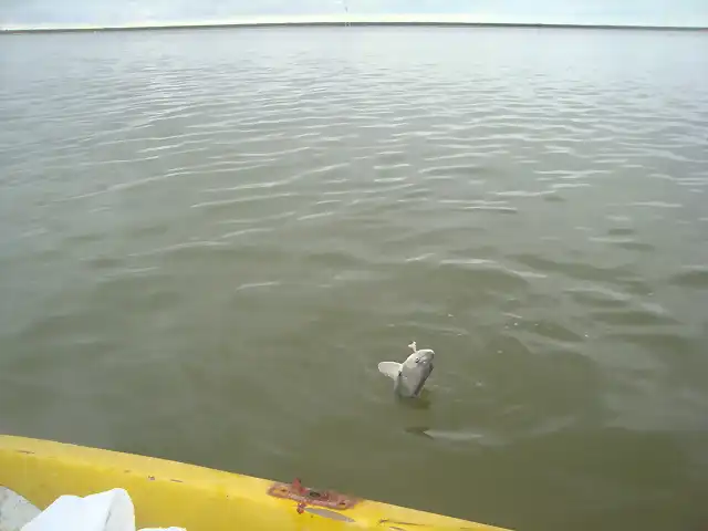 Pesca en recreo San Gabriel