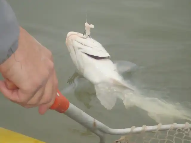 Pesca en recreo San Gabriel