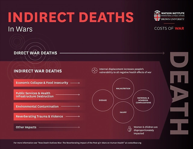 Indirect-deaths-infographic-2024 (1) Indirect-deaths-infographic-2024 (1)