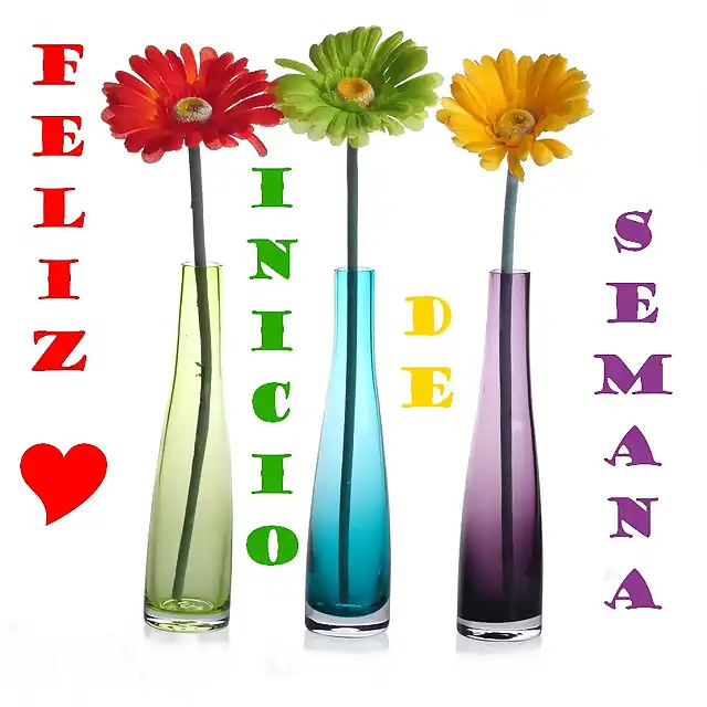 FELIZ INICIO