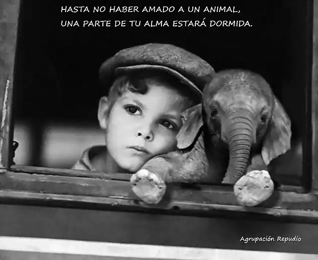 Pensamiento-1