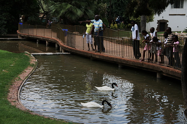 National Geological Gardens Pretoria 18-01-09 071 National Geological Gardens Pretoria 18-01-09 071