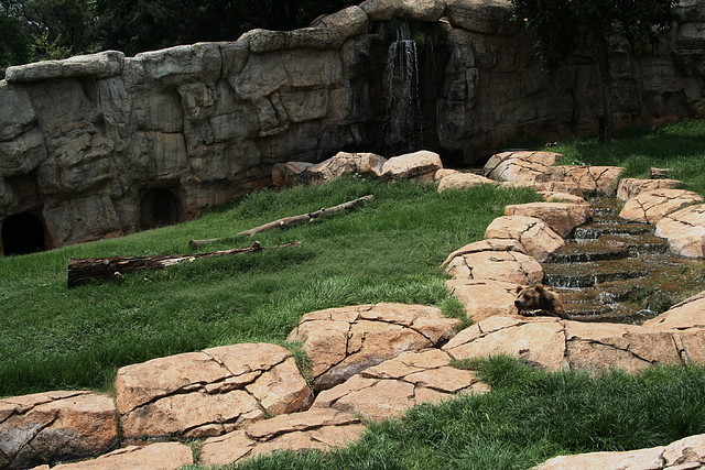 National Geological Gardens Pretoria 18-01-09 050 National Geological Gardens Pretoria 18-01-09 050
