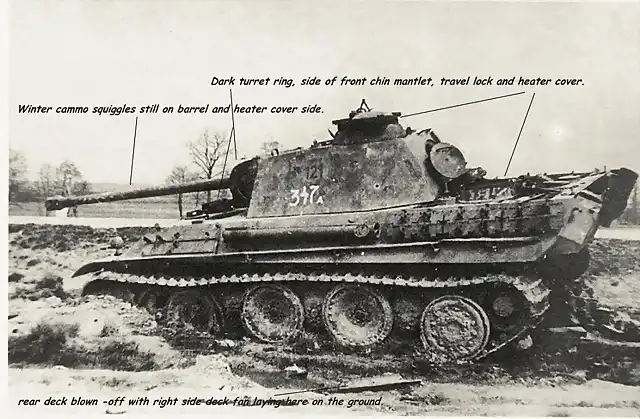 Panther 121