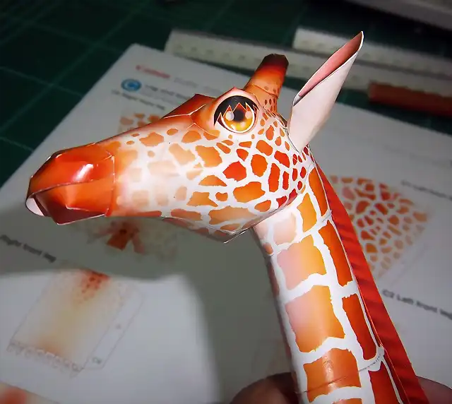 Girafa (13)