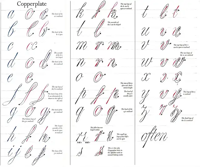 Copperplate copia