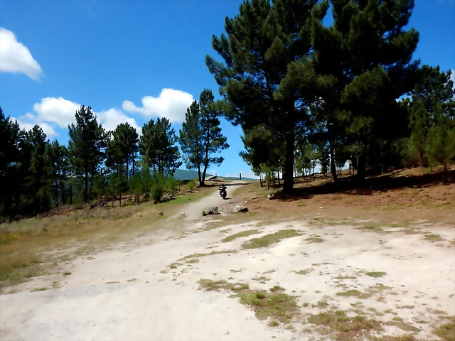 DSCN7775 DSCN7775