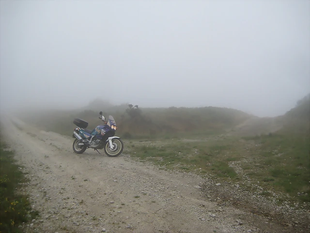 IMG_0224 IMG_0224