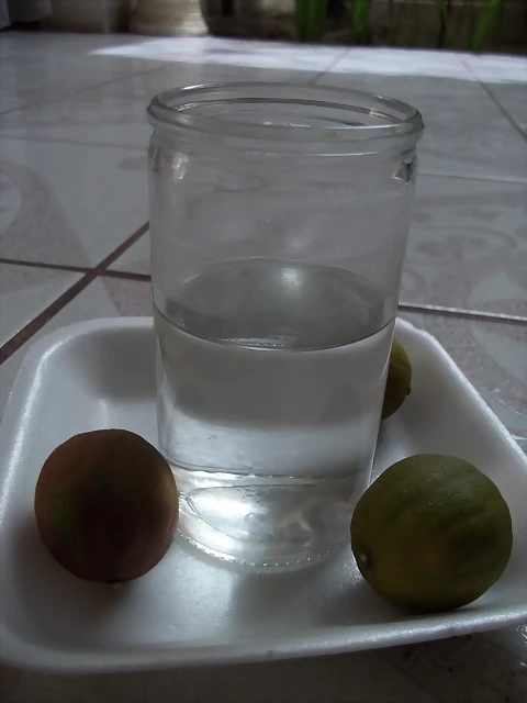 100_1178 100_1178