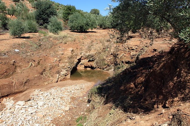 arroyo abajo