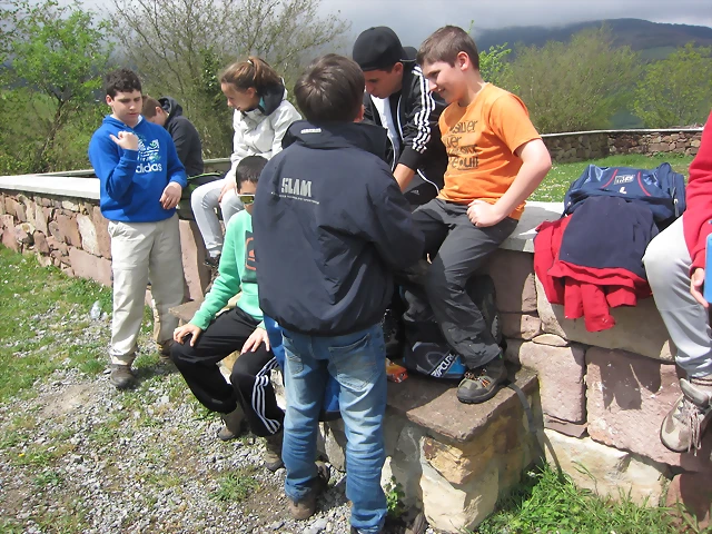 IMG_1847 IMG_1847