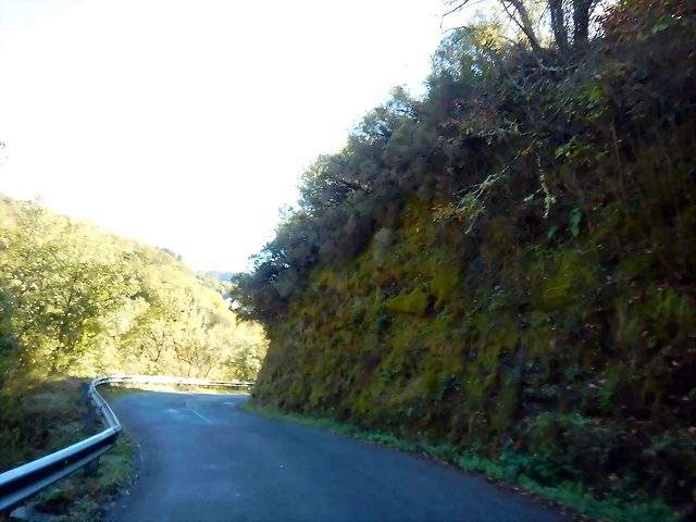 DSCN0135 DSCN0135