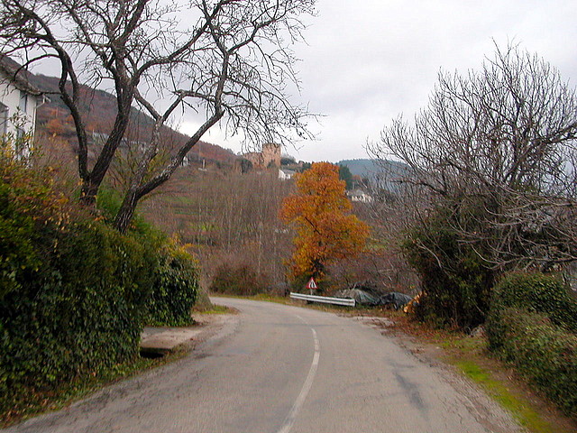 DSCN9716 DSCN9716