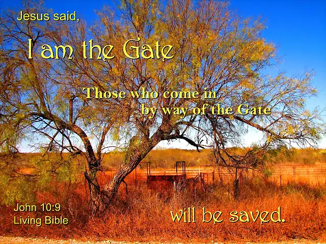 jesus_is_the_gate