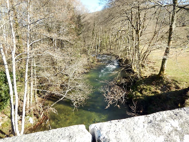 DSCN1654 DSCN1654