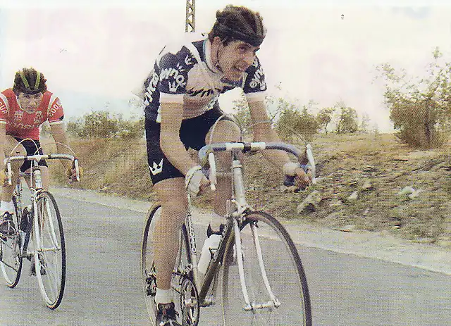 1981,V,A NAVARRA PERICO
