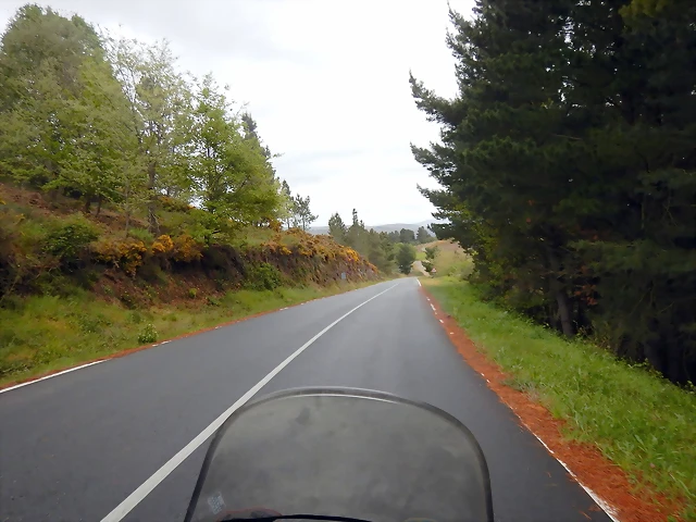 DSCN0553 DSCN0553