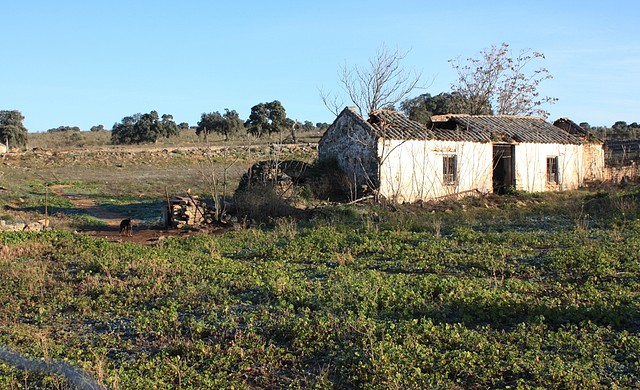 010, cortijo pastores 1