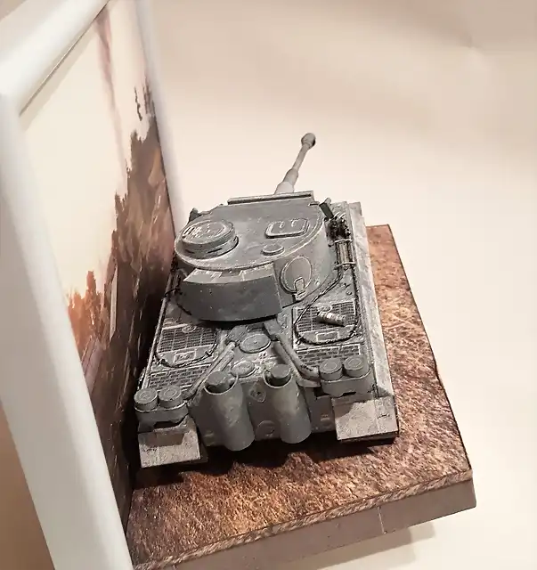 Tiger 1 (39)